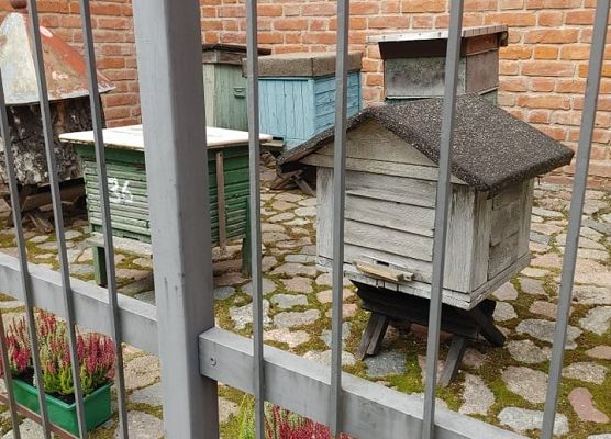 Foto: Krzysztof Poziemski grafika