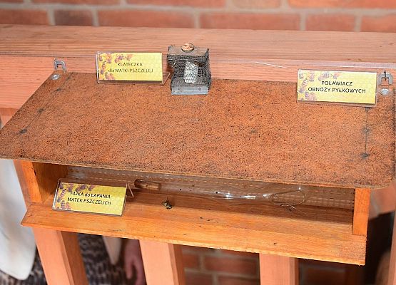 Foto: Krzysztof Poziemski grafika