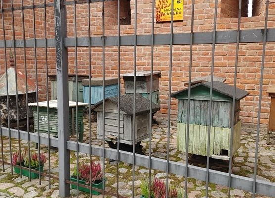 Foto: Krzysztof Poziemski grafika