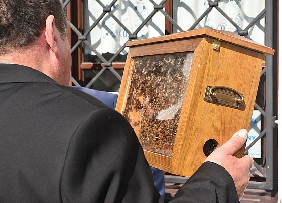 Foto: Krzysztof Poziemski grafika