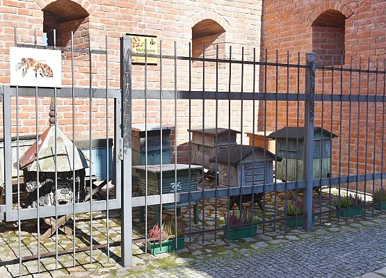 Foto: Krzysztof Poziemski grafika