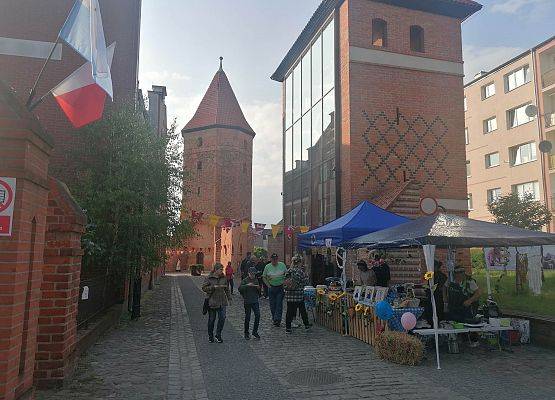 NOC MUZEÓW 20.05.2023 r. - Fotorelacja grafika