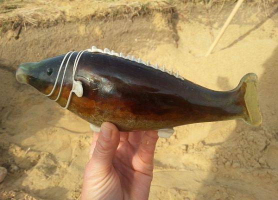 Szklana ryba w grobie z przełomu II i III wieku naszej ery grafika