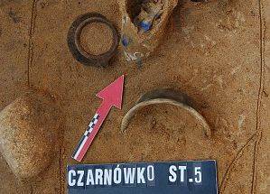 Szklana ryba w grobie z przełomu II i III wieku naszej ery grafika