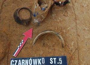 Szklana ryba w grobie z przełomu II i III wieku naszej ery grafika